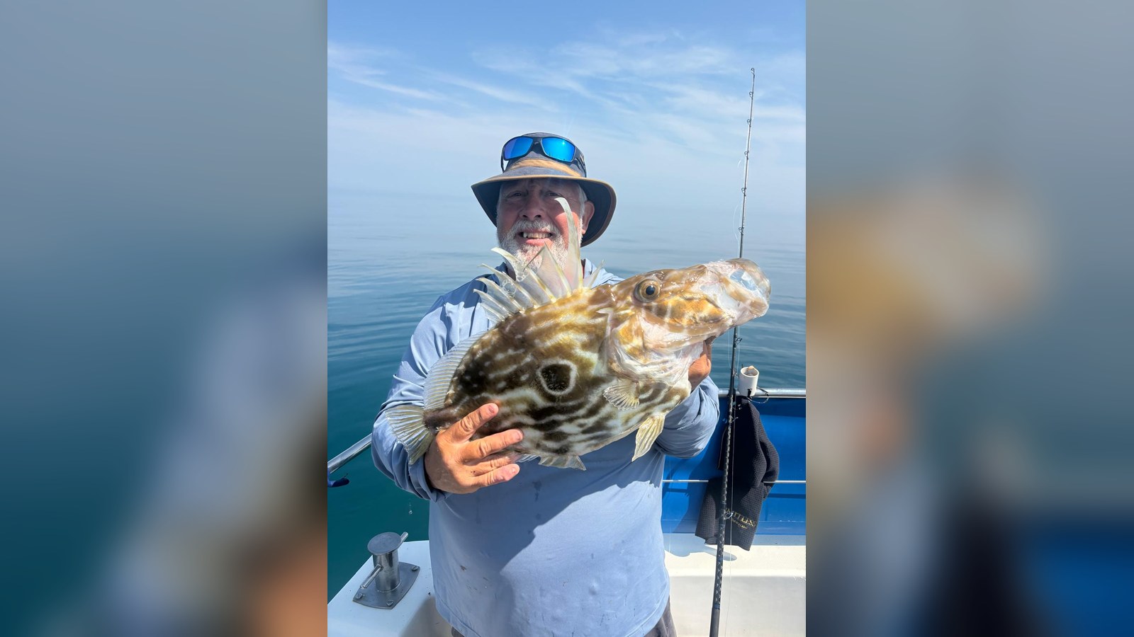 John Dory & Cod